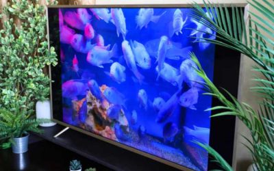 Luxury Home Aquarium