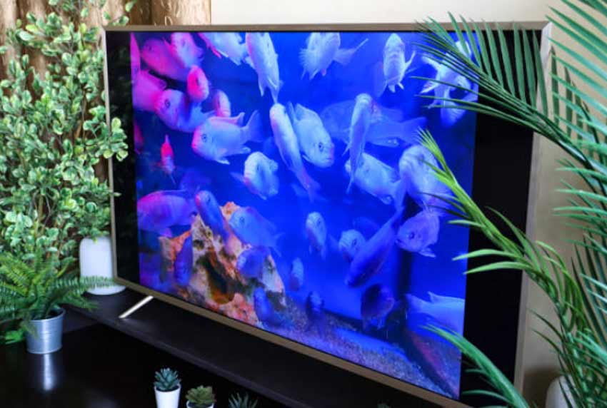 Luxury Home Aquarium