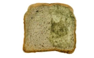 Red mold on bread | Is it dangerous?