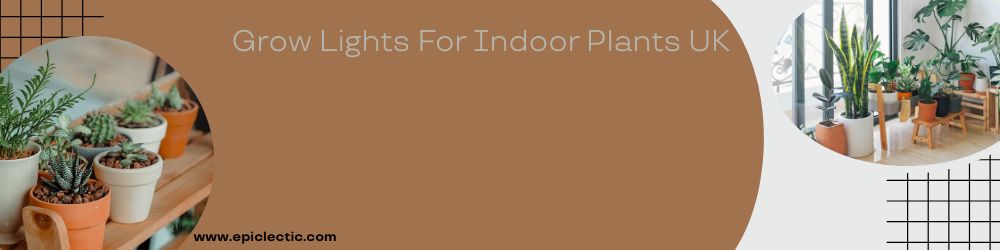 Grow lights for indoor plants UK Grow lights for indoor plants UK