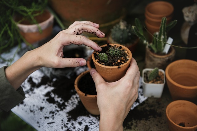 ecology-2985781_640 gardening uk