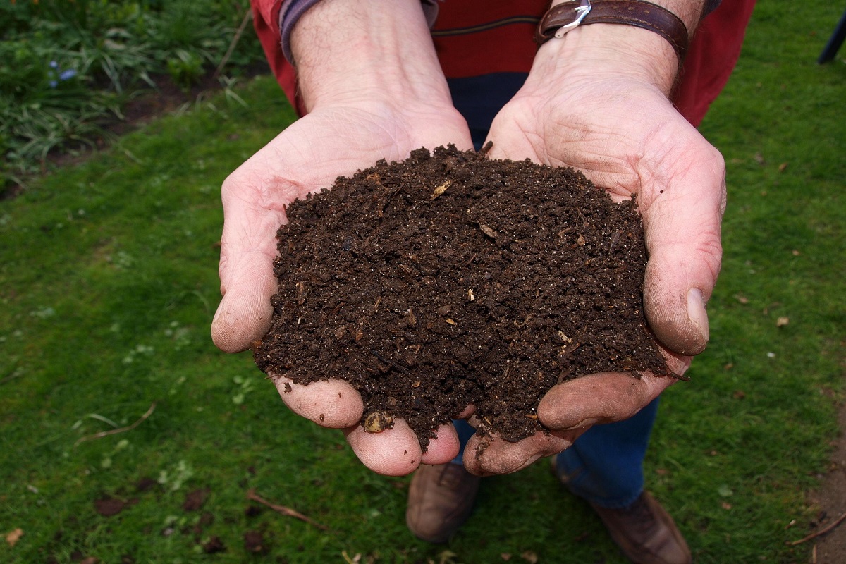 best compost for vegetables uk