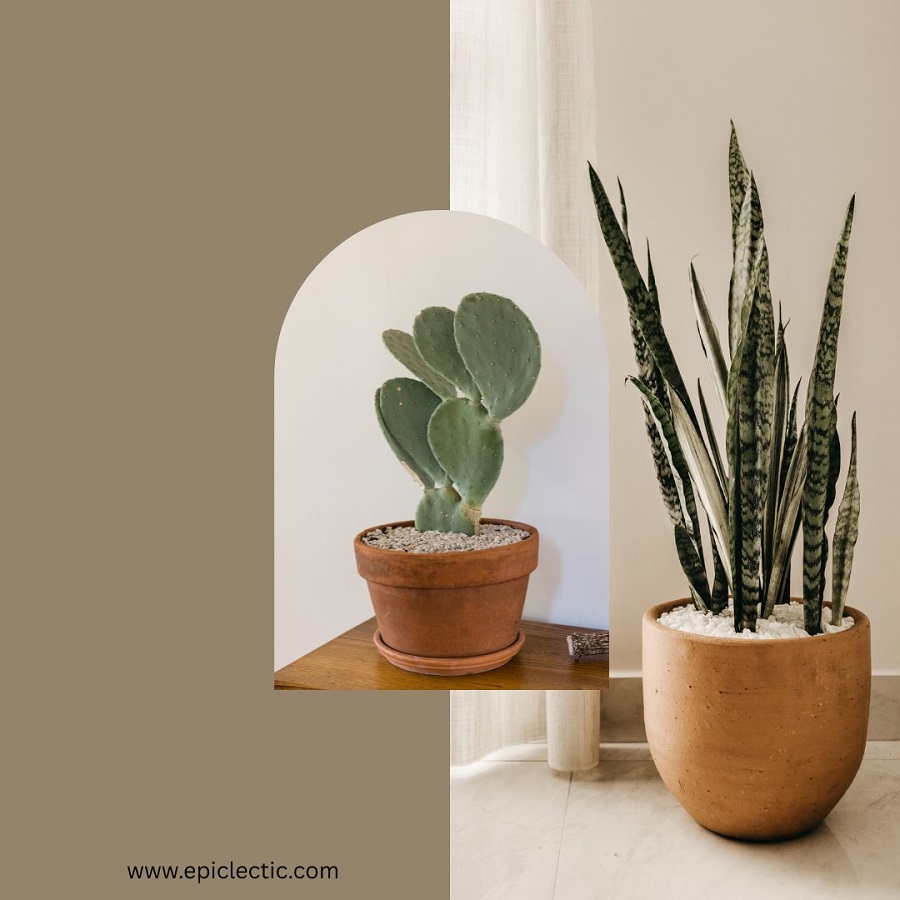 Grow lights for indoor plants UK 3 Grow lights for indoor plants UK