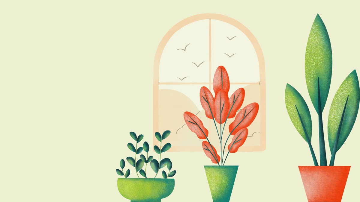 grow lights for indoor plants UK grow lights for indoor plants UK
