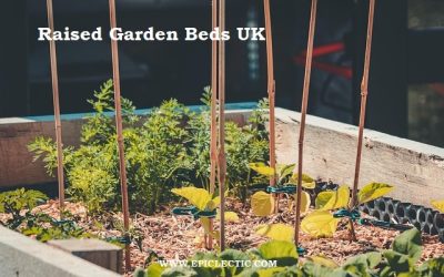 Raised garden beds UK- Best 6 Steps Guide