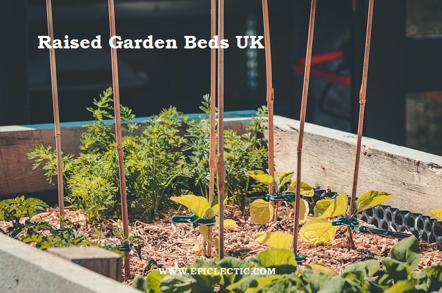 Raised garden beds UK- Best 6 Steps Guide
