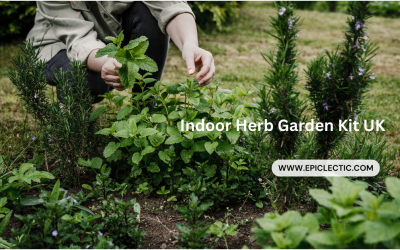 Indoor Herb Garden Kit UK – Best 1 guide for gardener