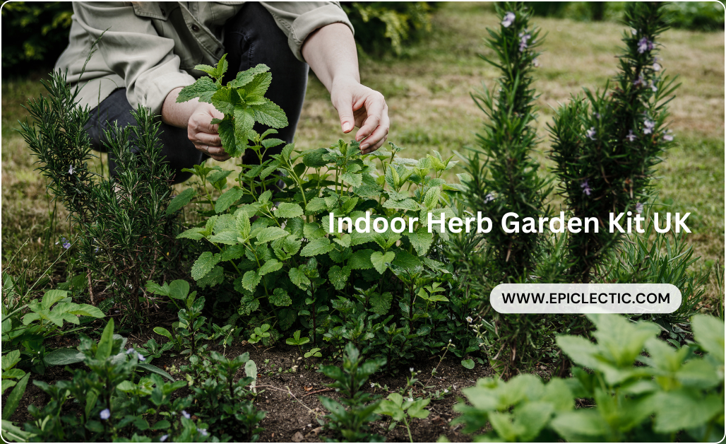 Indoor Herb Garden Kit UK – Best 1 guide for gardener