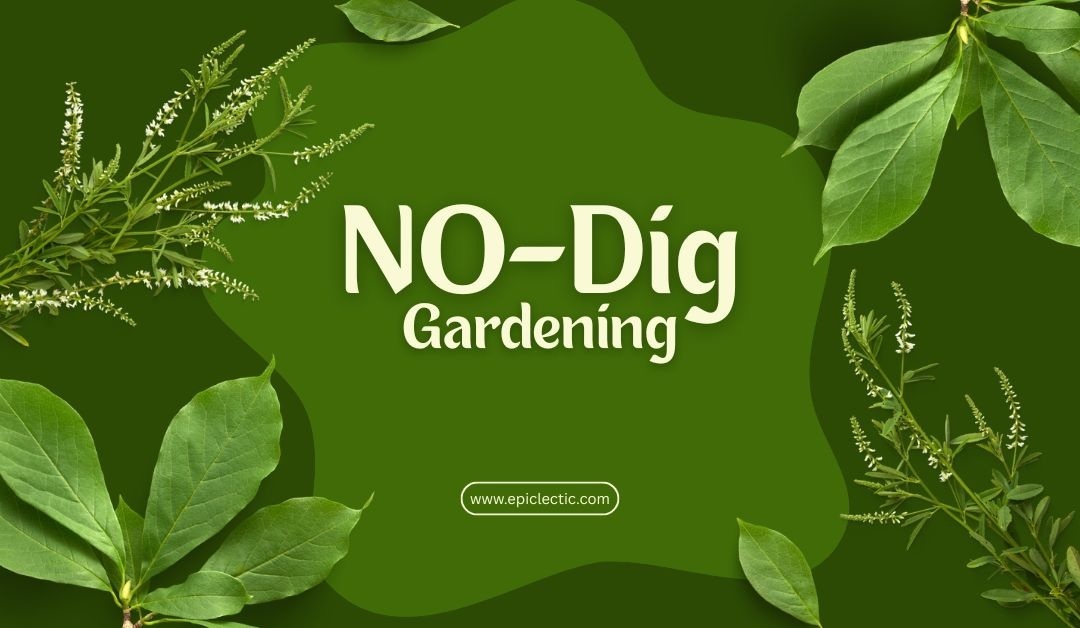 NO- Dig Gardening UK