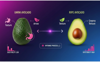Is it Bad to Eat Unripe Avocado?