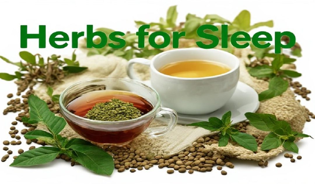 Herbs for Sleep