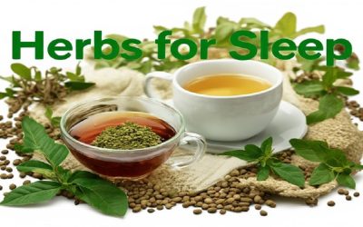 Herbs for Sleep: Best Herbal Teas & Remedies UK