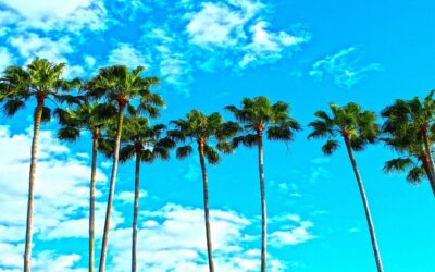 Where Is Warm Now? Warm Holidays Month by Month 2026/27