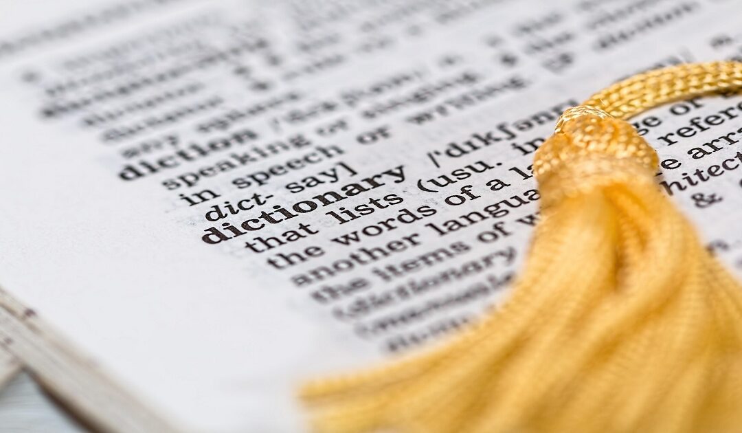 Small business owner reviewing logo and product designs to protect intellectual property